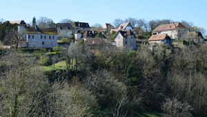 Enlèvement arbre urgence Bouguenais